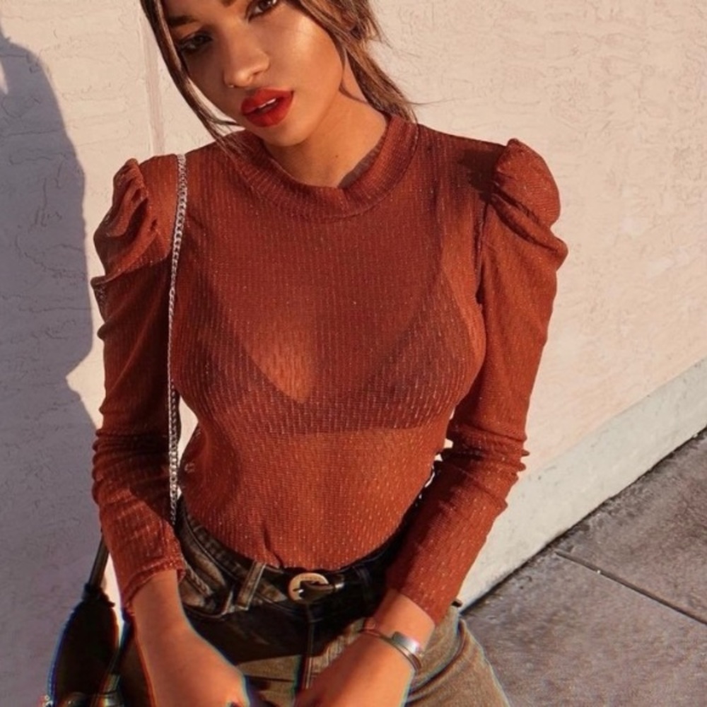 Rust Orange Sheer Long Sleeve Mock Neck Top